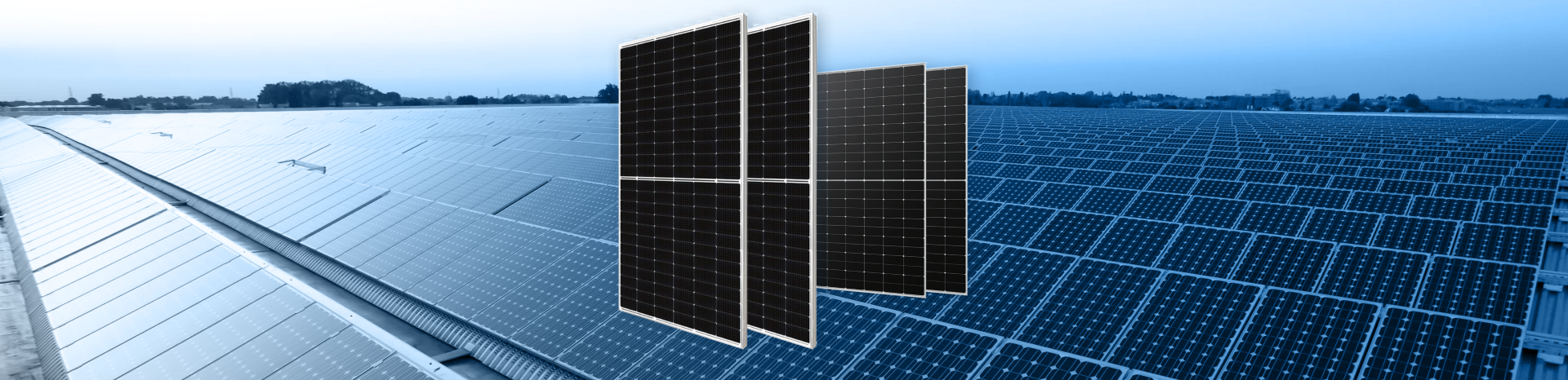 Solar PV - Panels